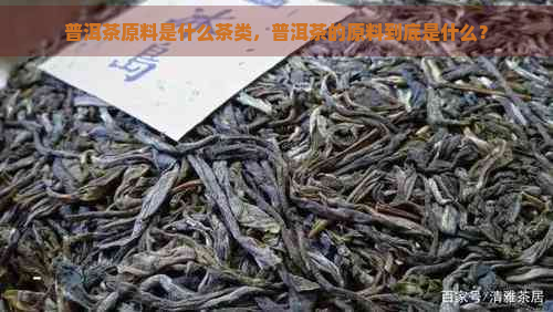 普洱茶原料是什么茶类，普洱茶的原料到底是什么？