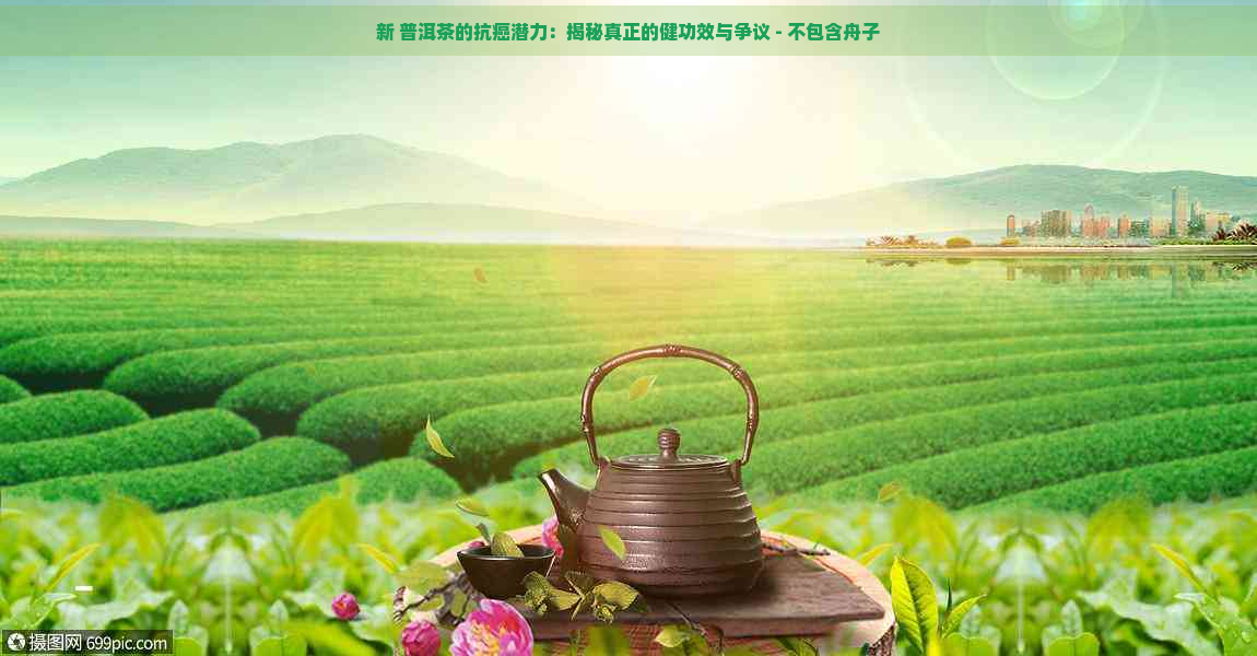 新 普洱茶的抗癌潜力：揭秘真正的健功效与争议 - 不包含舟子