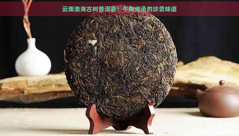 云南渤海古树普洱茶：千年传承的珍贵味道