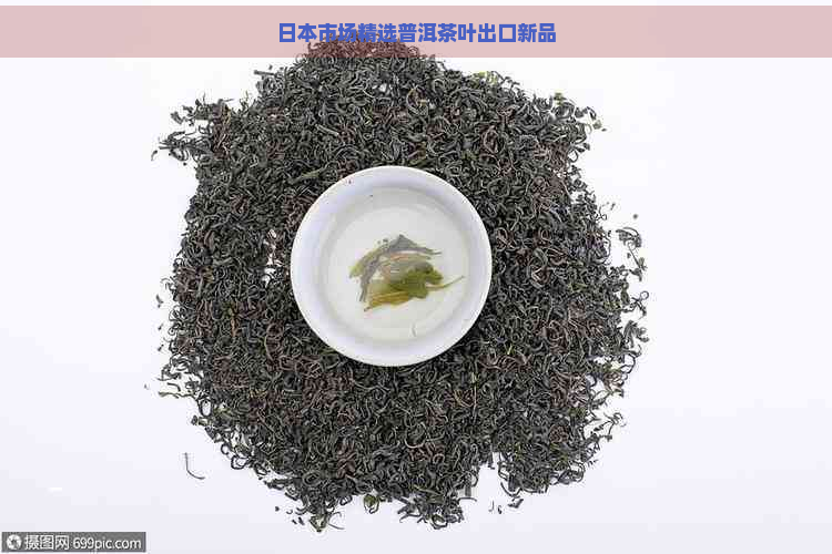 市场精选普洱茶叶出口新品