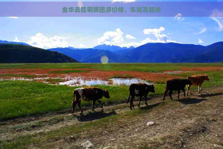 金华去昆明跟团游价格、车站及路线