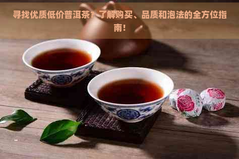 寻找优质低价普洱茶？了解购买、品质和泡法的全方位指南！