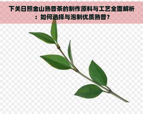 下关日照金山熟普茶的制作原料与工艺全面解析：如何选择与泡制优质熟普？