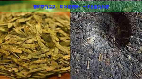 普洱茶的品质、功效和泡法：一次全面的解答