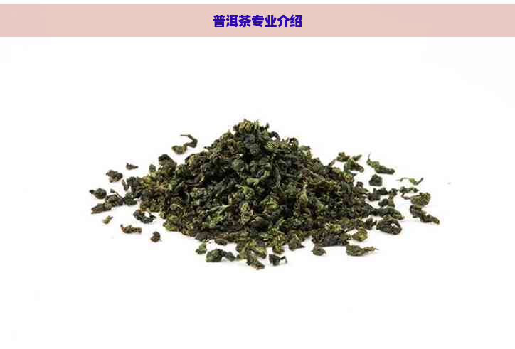 普洱茶专业介绍