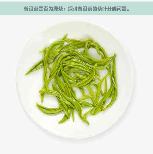 普洱茶是否为绿茶：探讨普洱茶的茶叶分类问题。