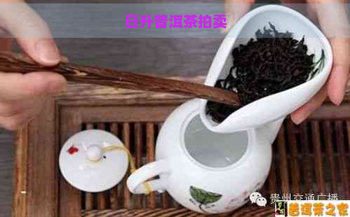 日升普洱茶拍卖