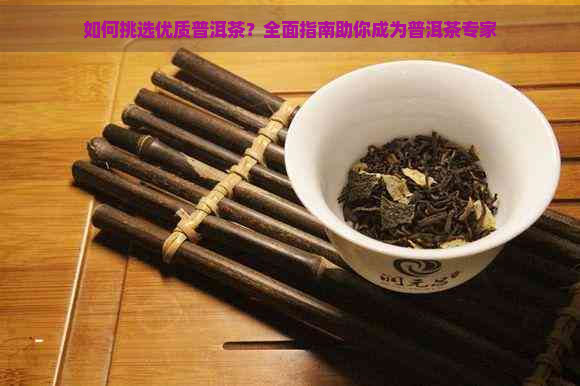 如何挑选优质普洱茶？全面指南助你成为普洱茶专家