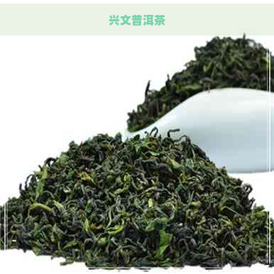 兴文普洱茶