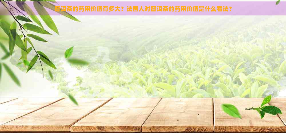 普洱茶的药用价值有多大？法国人对普洱茶的药用价值是什么看法？