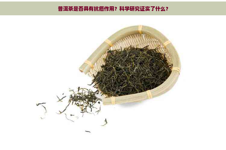 普洱茶是否具有抗癌作用？科学研究证实了什么？