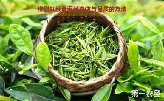 辨别红茶普洱茶真伪与品质的方法