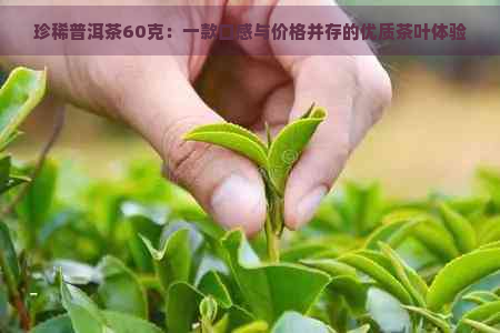 珍稀普洱茶60克：一款口感与价格并存的优质茶叶体验