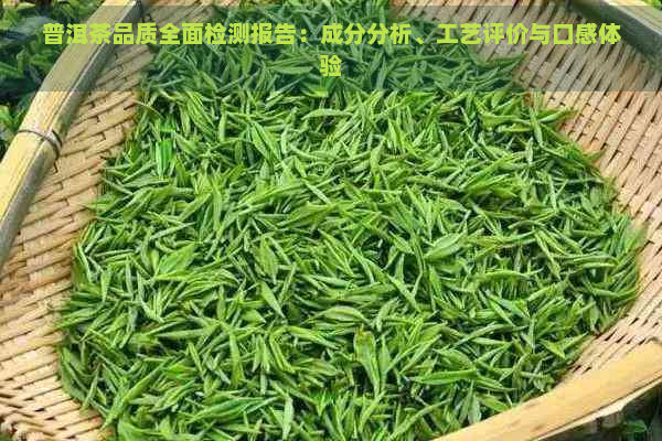 普洱茶品质全面检测报告：成分分析、工艺评价与口感体验