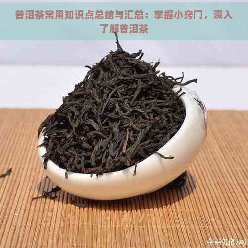 普洱茶常用知识点总结与汇总：掌握小窍门，深入了解普洱茶