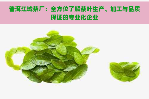 普洱江城茶厂：全方位了解茶叶生产、加工与品质保证的专业化企业