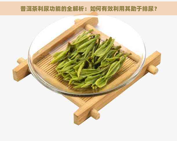 普洱茶利尿功能的全解析：如何有效利用其助于排尿？