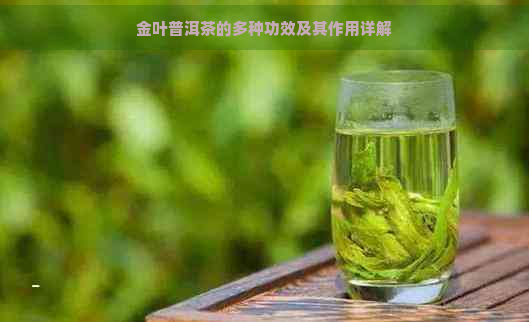 金叶普洱茶的多种功效及其作用详解