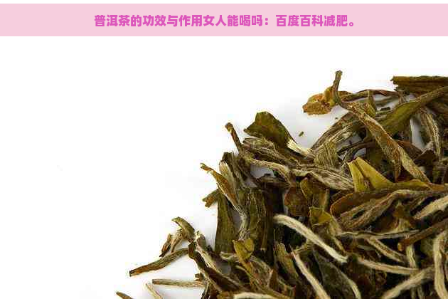 普洱茶的功效与作用女人能喝吗：百度百科减肥。