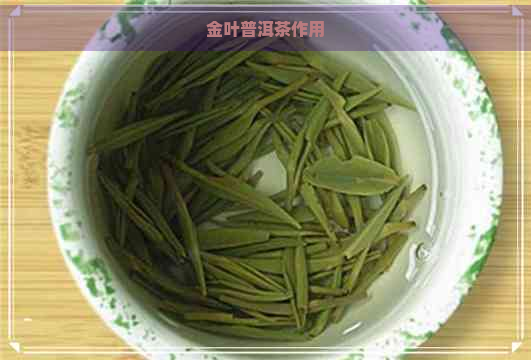 金叶普洱茶作用