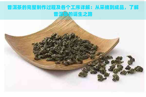 普洱茶的完整制作过程及各个工序详解：从采摘到成品，了解普洱茶的诞生之路