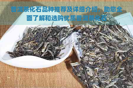 普洱茶化石品种推荐及详细介绍，助您全面了解和选购优质普洱茶化石