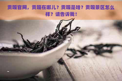 贡嘎官网，贡嘎在哪儿？贡嘎是啥？贡嘎景区怎么样？请告诉我！