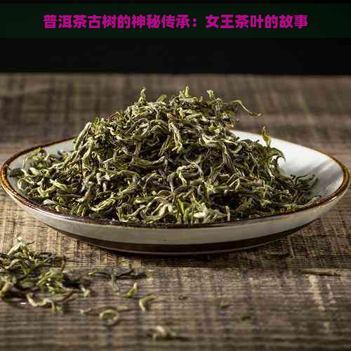 普洱茶古树的神秘传承：女王茶叶的故事