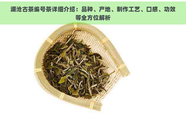 澜沧古茶编号茶详细介绍：品种、产地、制作工艺、口感、功效等全方位解析