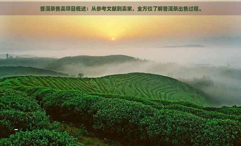 普洱茶售卖项目概述：从参考文献到卖家，全方位了解普洱茶出售过程。