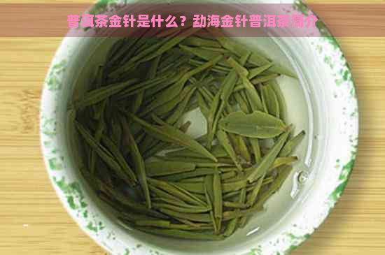 普洱茶金针是什么？勐海金针普洱茶简介