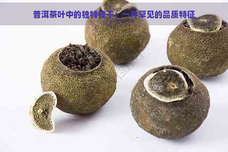 普洱茶叶中的独特枝干：一种罕见的品质特征