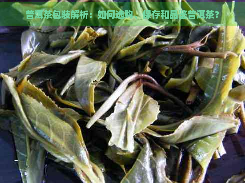 普洱茶包装解析：如何选购、保存和品鉴普洱茶？