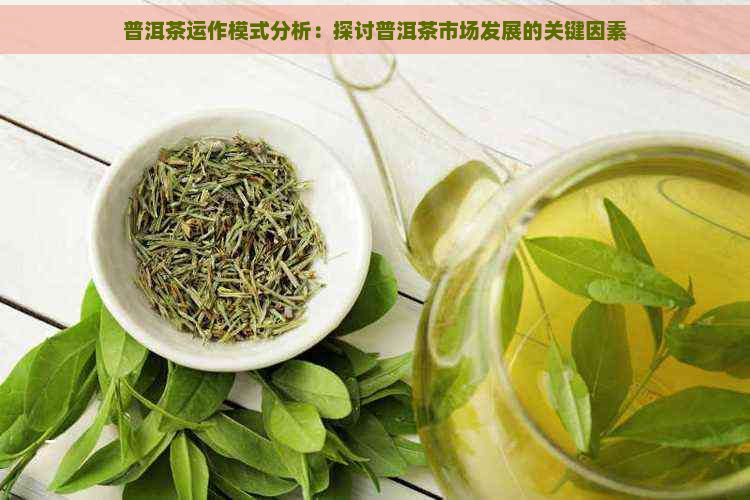 普洱茶运作模式分析：探讨普洱茶市场发展的关键因素