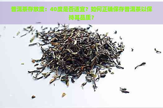 普洱茶存放度：40度是否适宜？如何正确保存普洱茶以保持其品质？