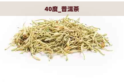 40度_普洱茶