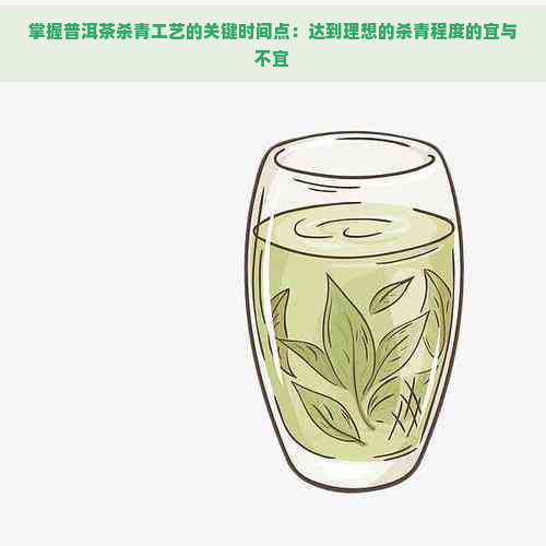 掌握普洱茶杀青工艺的关键时间点：达到理想的杀青程度的宜与不宜