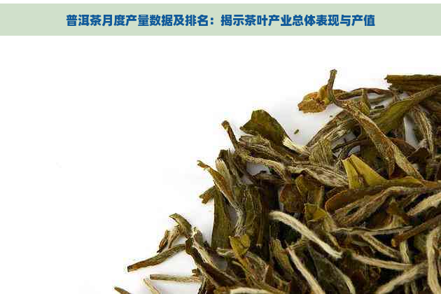 普洱茶月度产量数据及排名：揭示茶叶产业总体表现与产值