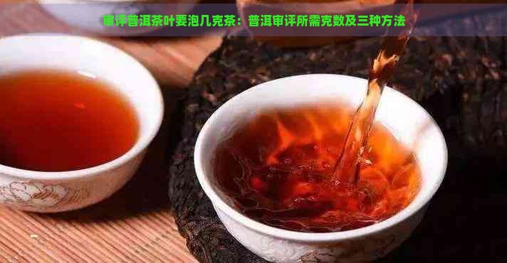 审评普洱茶叶要泡几克茶：普洱审评所需克数及三种方法