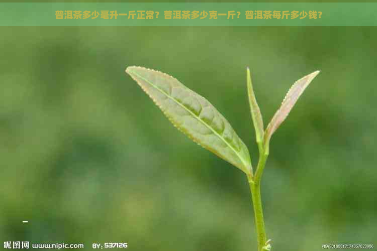 普洱茶多少毫升一斤正常？普洱茶多少克一斤？普洱茶每斤多少钱？