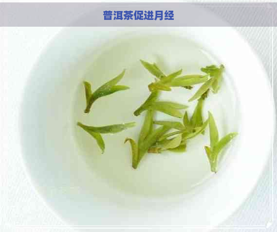 普洱茶促进月经