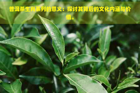 普洱茶生肖系列的意义：探讨其背后的文化内涵与价值。