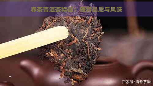 春茶普洱茶特征：独特品质与风味