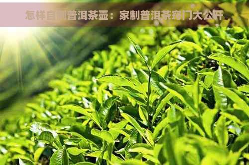 怎样自制普洱茶壶：家制普洱茶窍门大公开