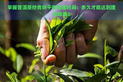 掌握普洱茶炒青烘干的精准时间：多久才能达到理想效果？