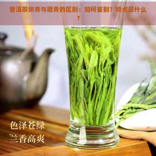 普洱茶烘青与晒青的区别：如何鉴别？特点是什么？