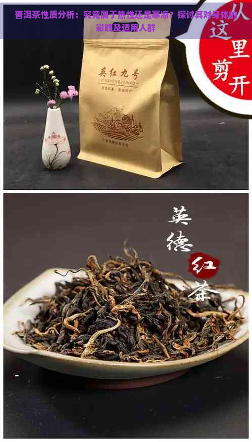 普洱茶性质分析：究竟属于热性还是寒凉？探讨其对身体的影响及适用人群