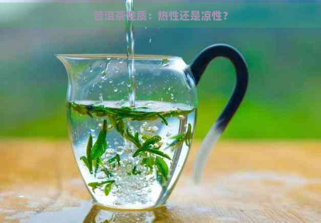 普洱茶性质：热性还是凉性？