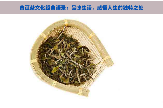 普洱茶文化经典语录：品味生活，感悟人生的独特之处