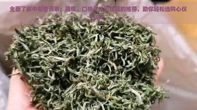 全面了解中期普洱茶：品质、口感与性价比高的推荐，助你轻松选购心仪茶叶